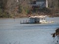 2011-02_16 Government Island - Hemi